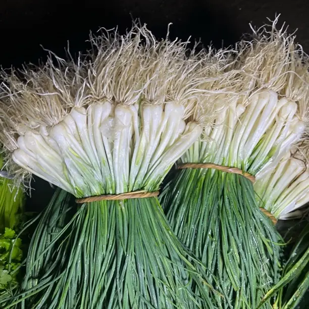 新鲜现挖农家磊口新市