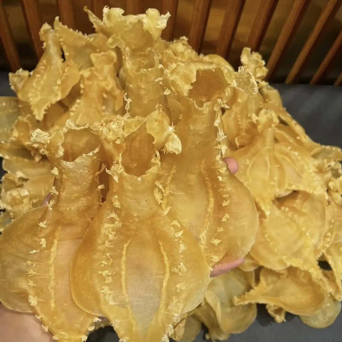 刺花赤嘴鳘鱼胶天然深海鱼胶 具体商品须以直播时准