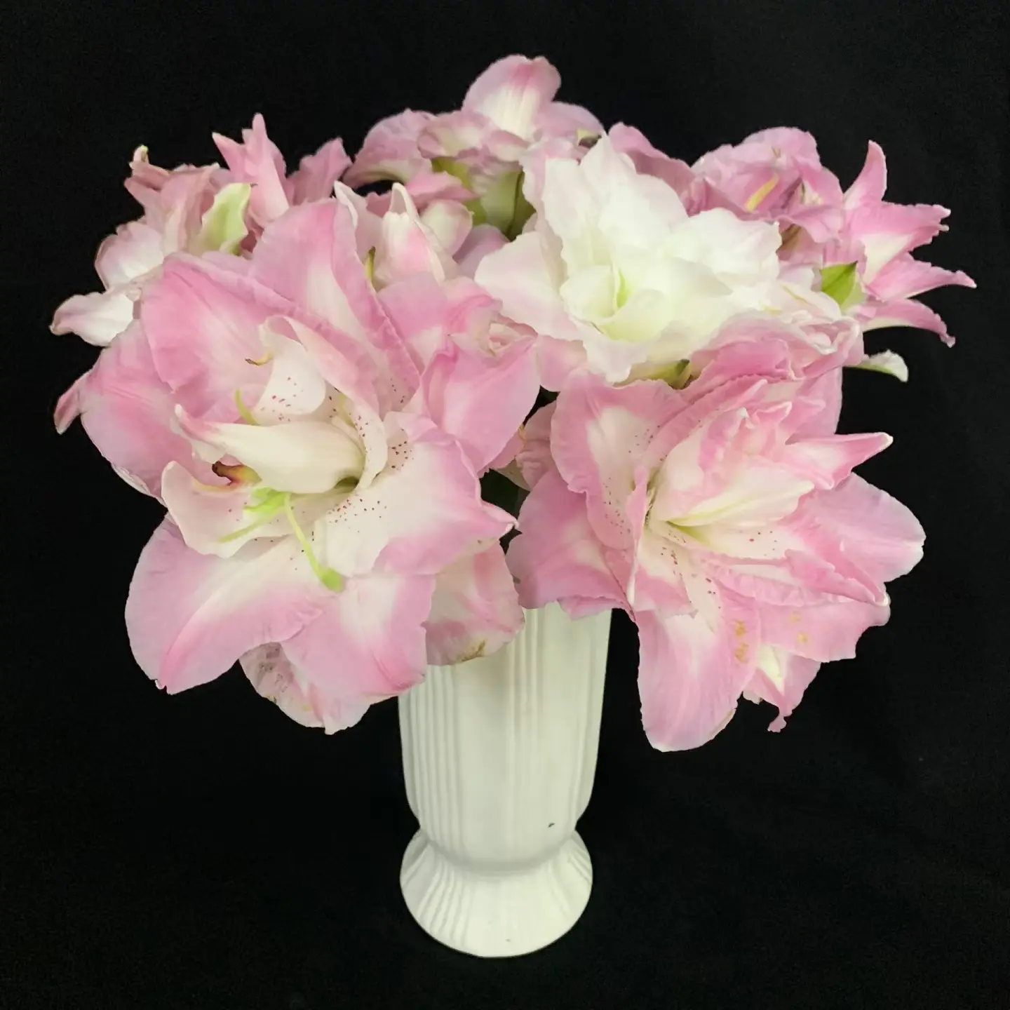 8号幸运女神重瓣百合三头好花，我要买我不售后