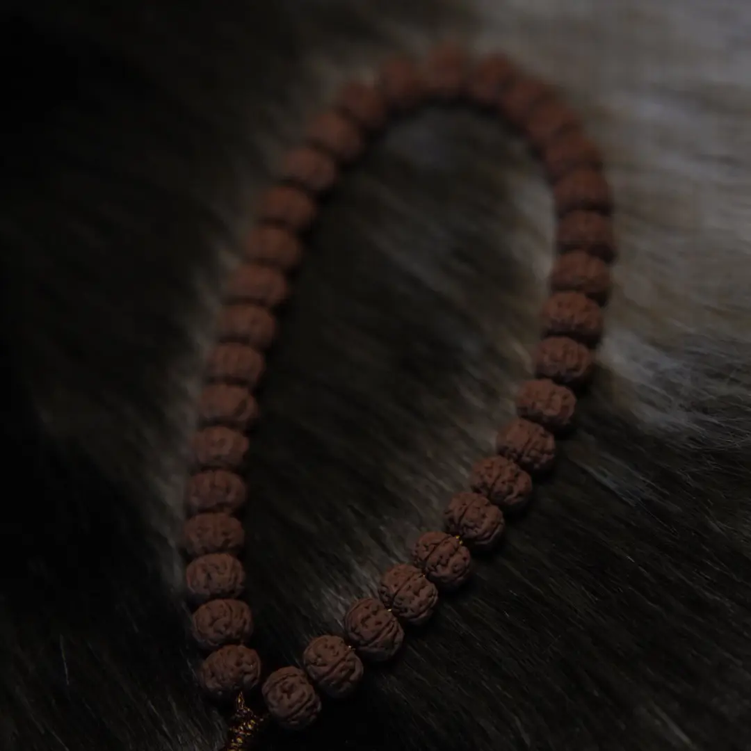 老树王小金刚手持