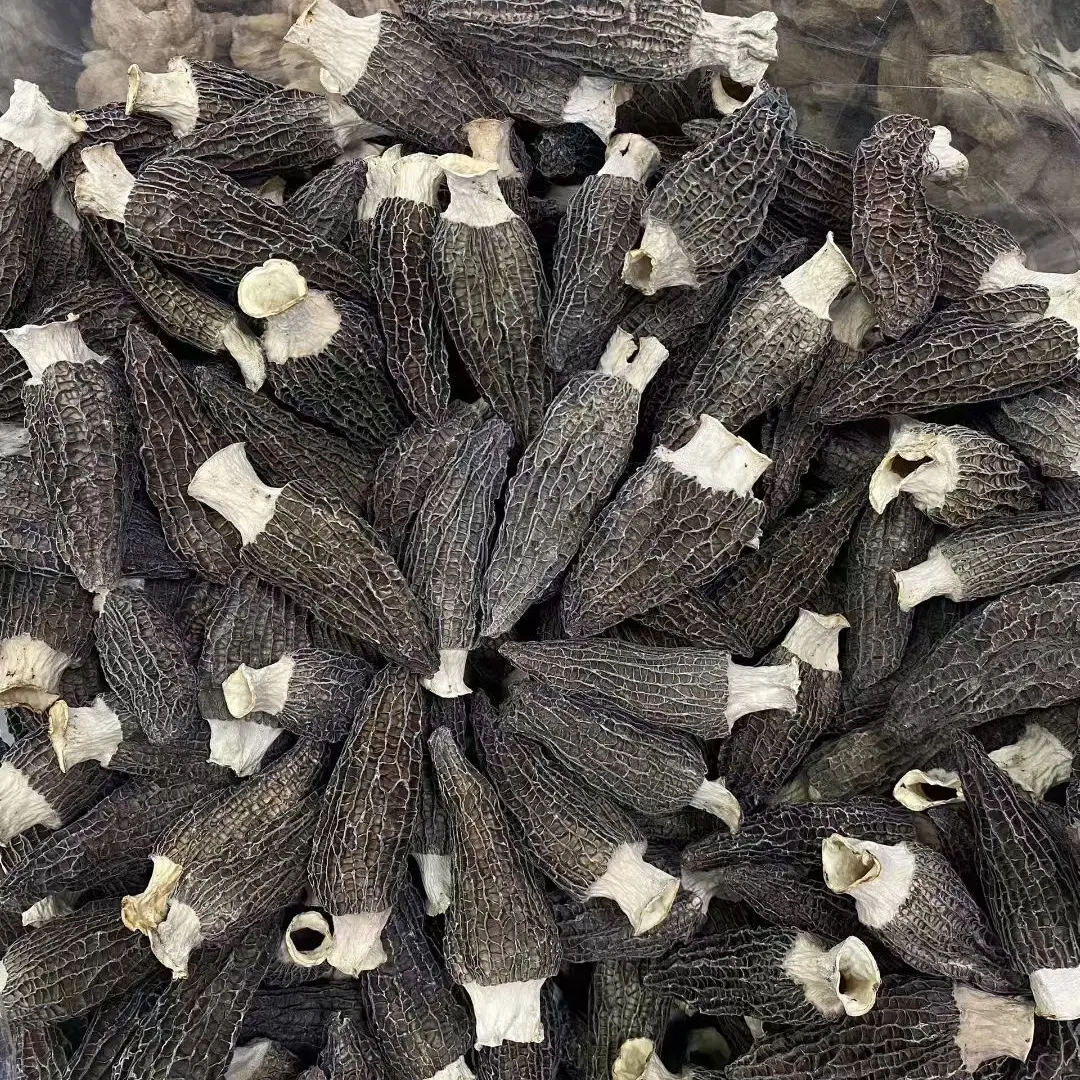 【玖中庭】干货臻选·干货百味