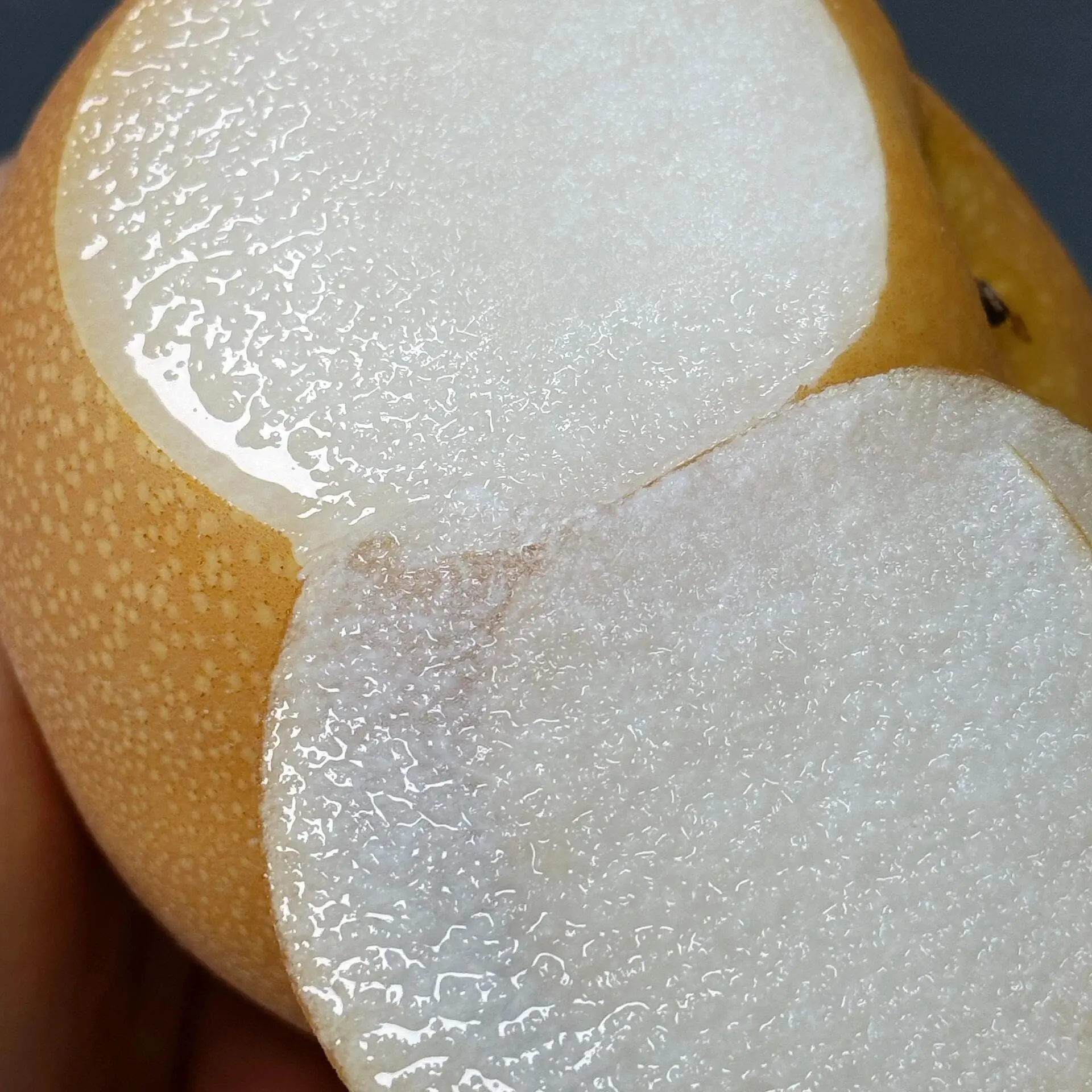 【小时达】秋月梨2斤左右脆甜多汁当季应季水果汁水丰富细腻香甜酥脆爽口