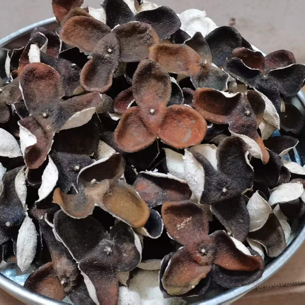 广西浦北茶枝柑小青皮（自然生哂）