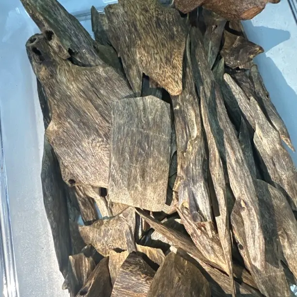 红骨凹身高油脂熏香料 