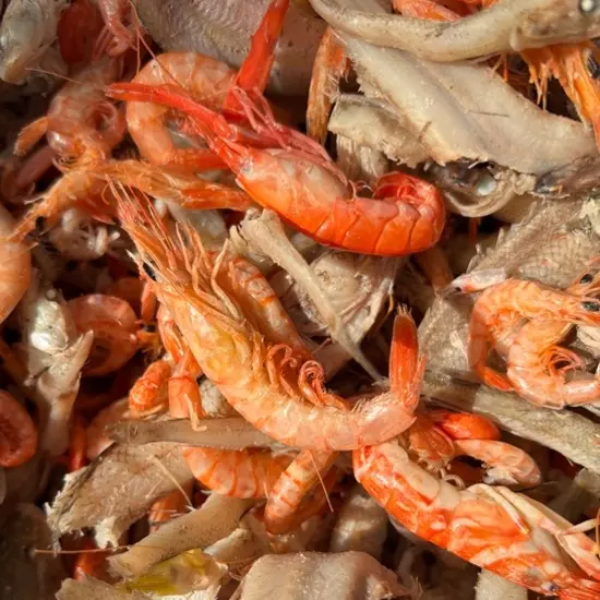 小油光小海虾混合（熟直接配主食吃）