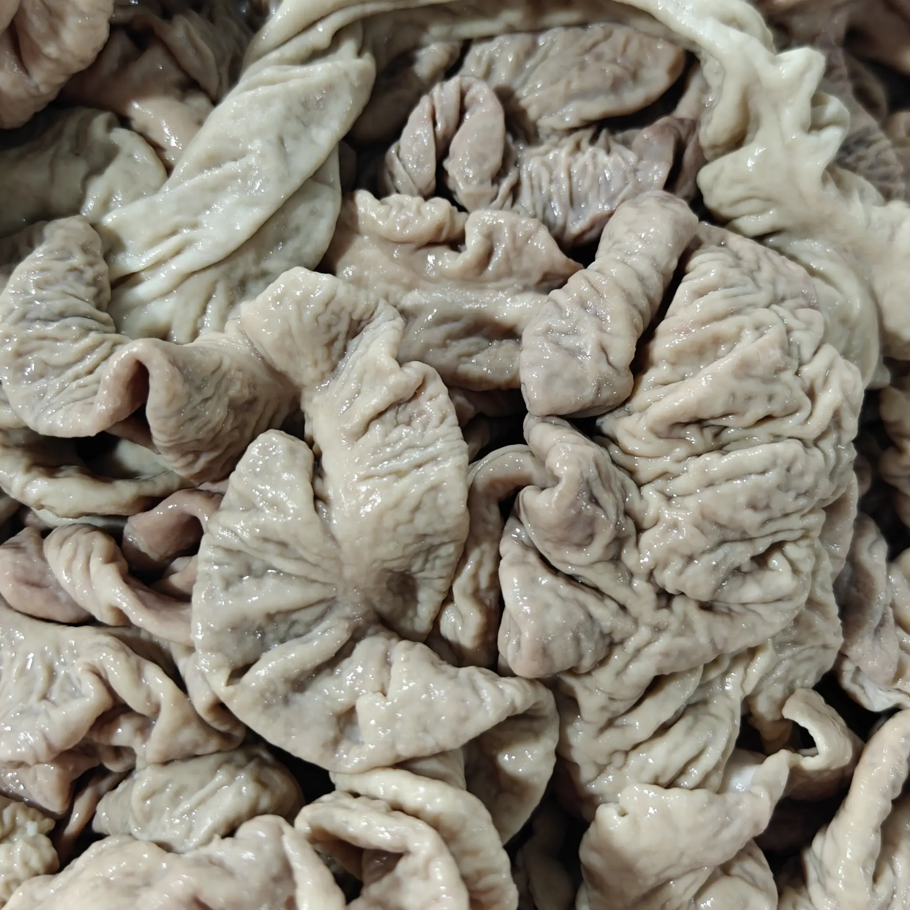 半熟去油免洗无腥精选新鲜猪肥肠京东冷链6斤