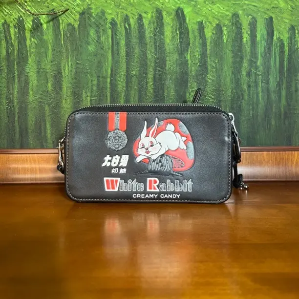 95新 COACH/蔻驰 单肩包/19*4*10/A420