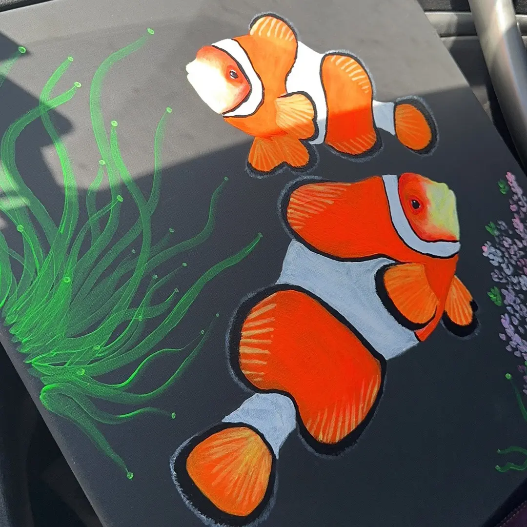 超级福袋专属小丑鱼一条