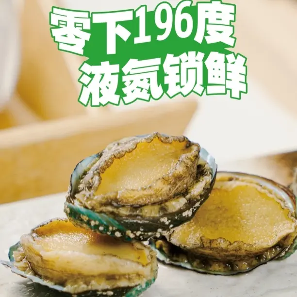 极速锁鲜去肚去肠去牙去壳纯肉4-5cm拍20只送10只到手30只鲍鱼
