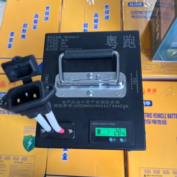 48V30安大功率电动车磷酸铁锂电池适用于两轮三轮车