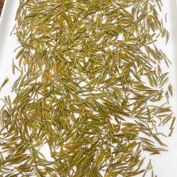 正宗安吉新茶黄金芽绿茶鲜爽回甘浓香型豆香味耐泡茶叶