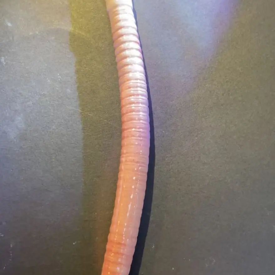 手作小蚯吸管抽象吸管工艺品摆件