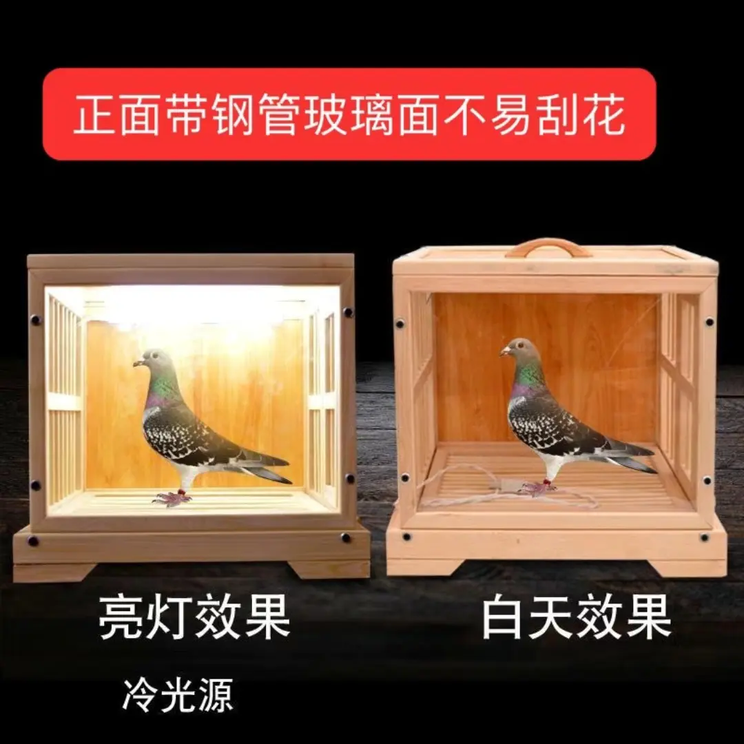 精美带照明功能鸽子专用展示笼适合信鸽直播展示