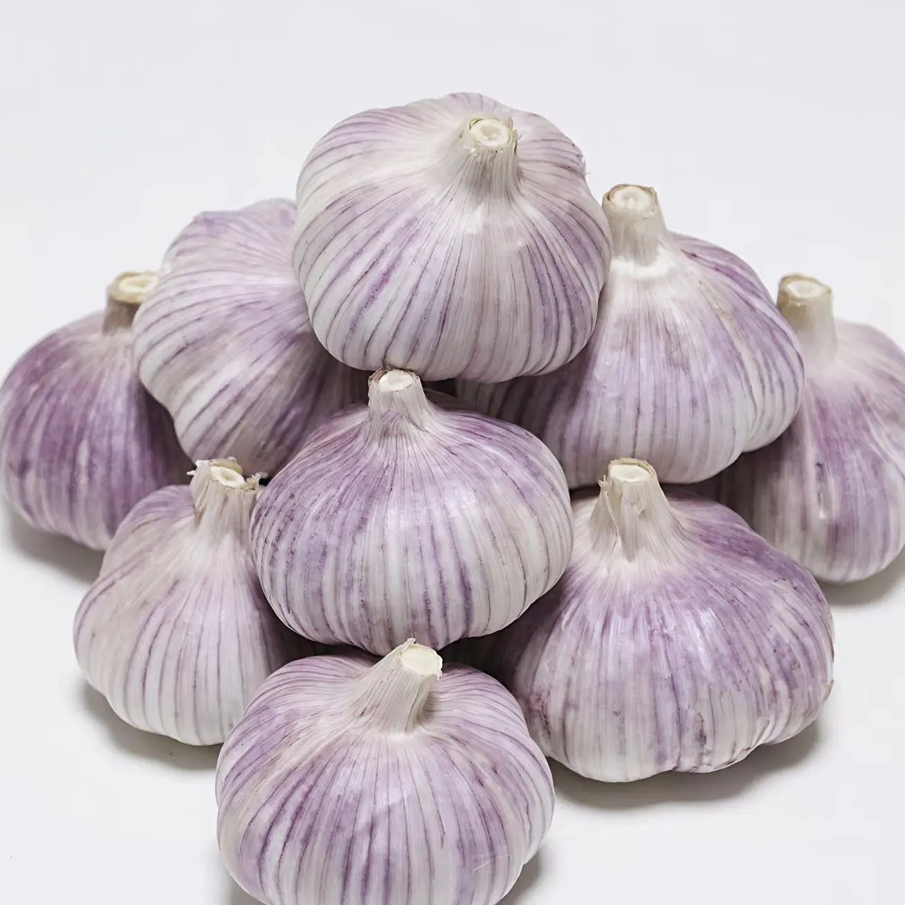 正宗紫白皮大蒜新鲜现挖香辣饱满可用于腌制调味