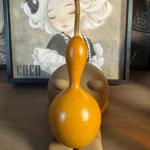 国潮葫芦铺直播间一物一拍，一物一价，请勿随意下单