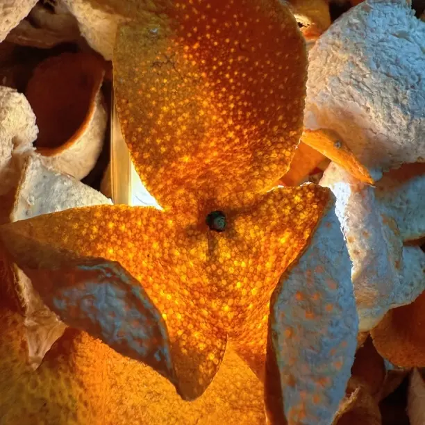 （福利款） 2025浦北茶枝柑小皮 带果蒂 高品质 自然生晒干仓