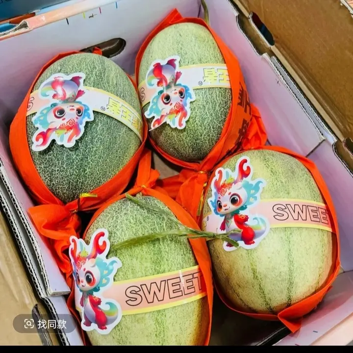 海南小蜜瓜2粒6-7斤