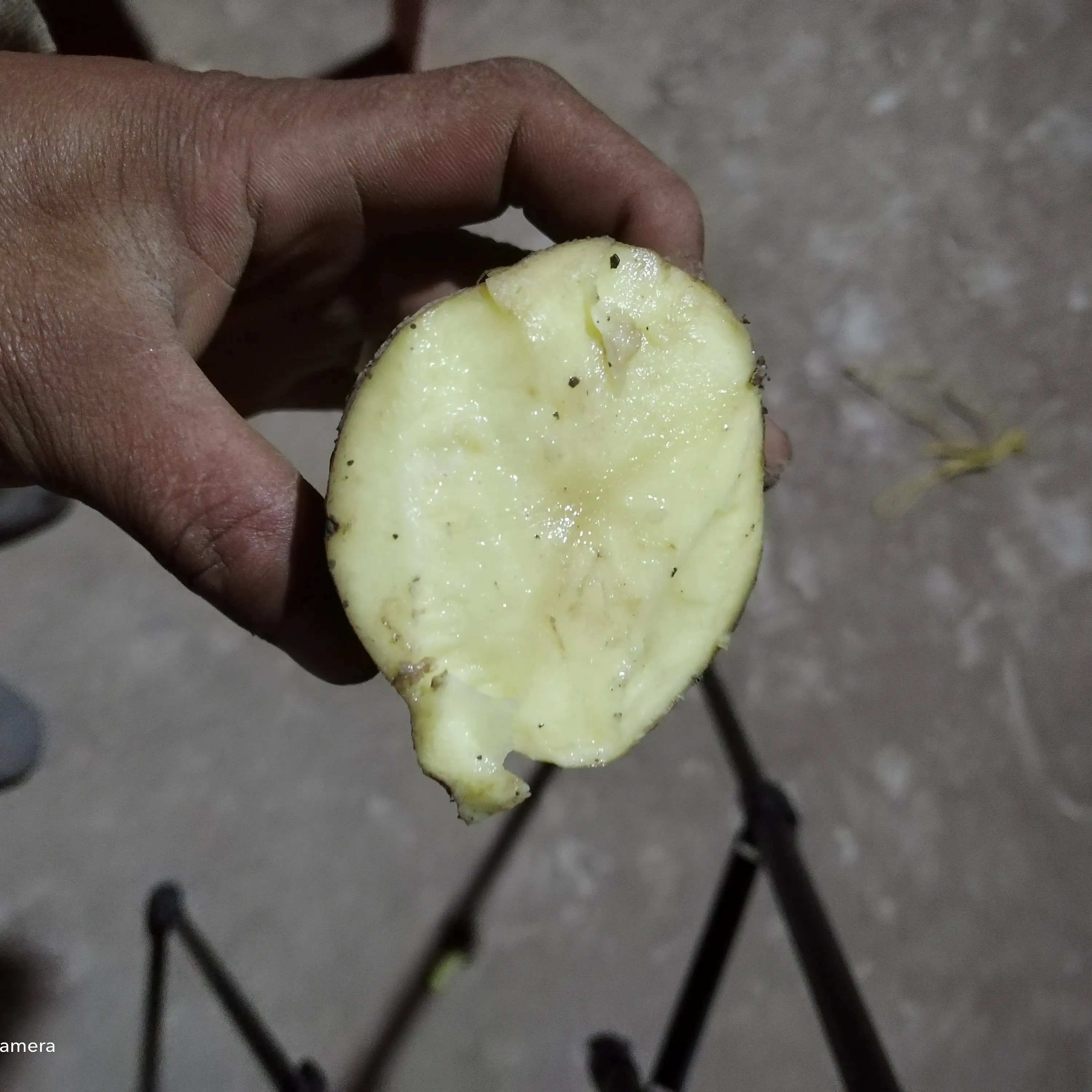 农家自种黄皮黄心土豆 粉面沙糯新鲜现挖