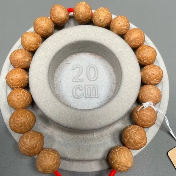 尼泊尔凤眼实心籽11号树，5号串