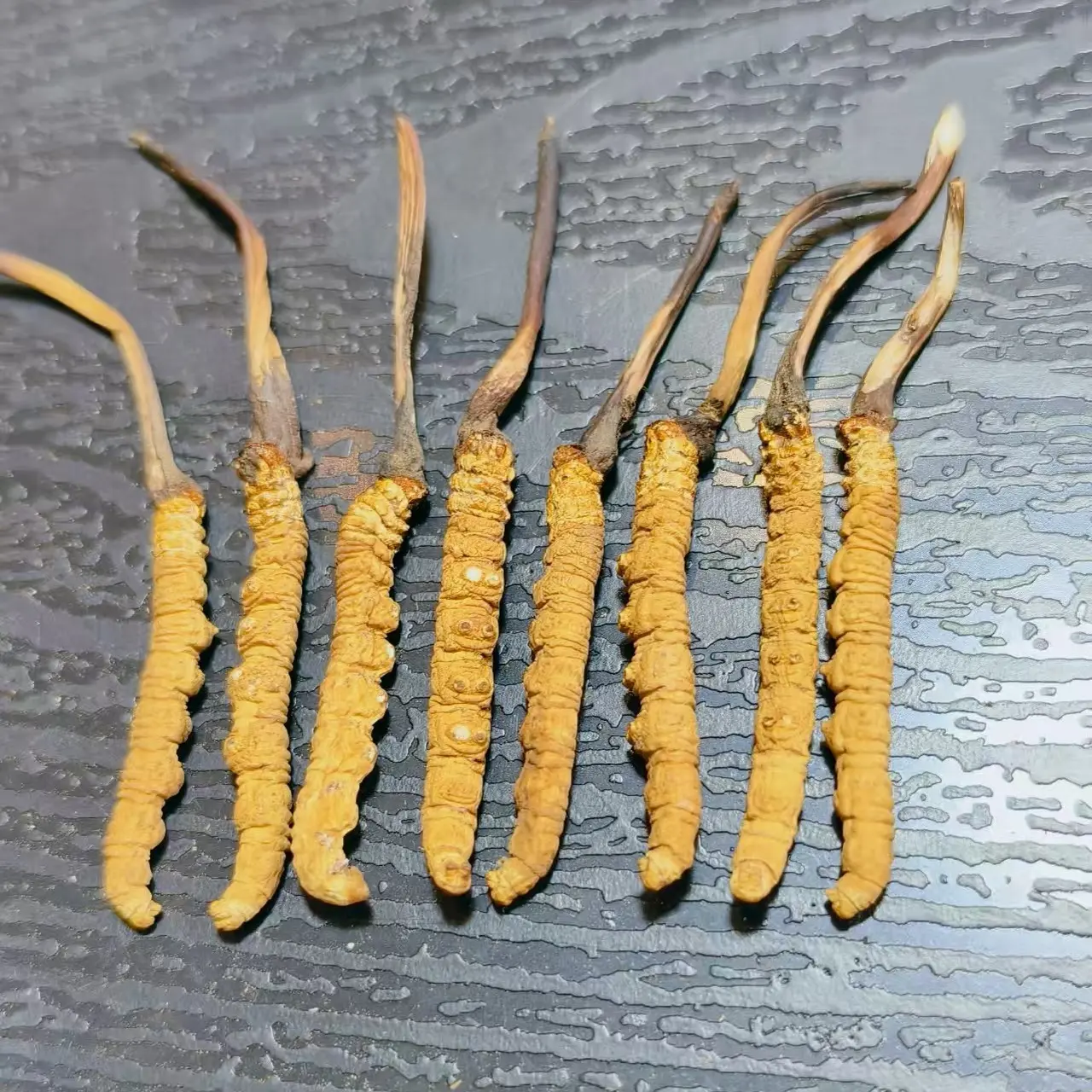 30+1根高海拔高品质冬虫夏滋补煲汤