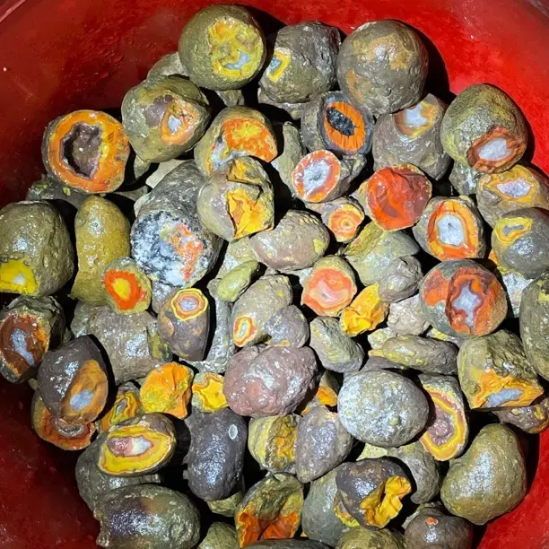 战国红玛瑙直播间链接多样性发货 请勿私拍