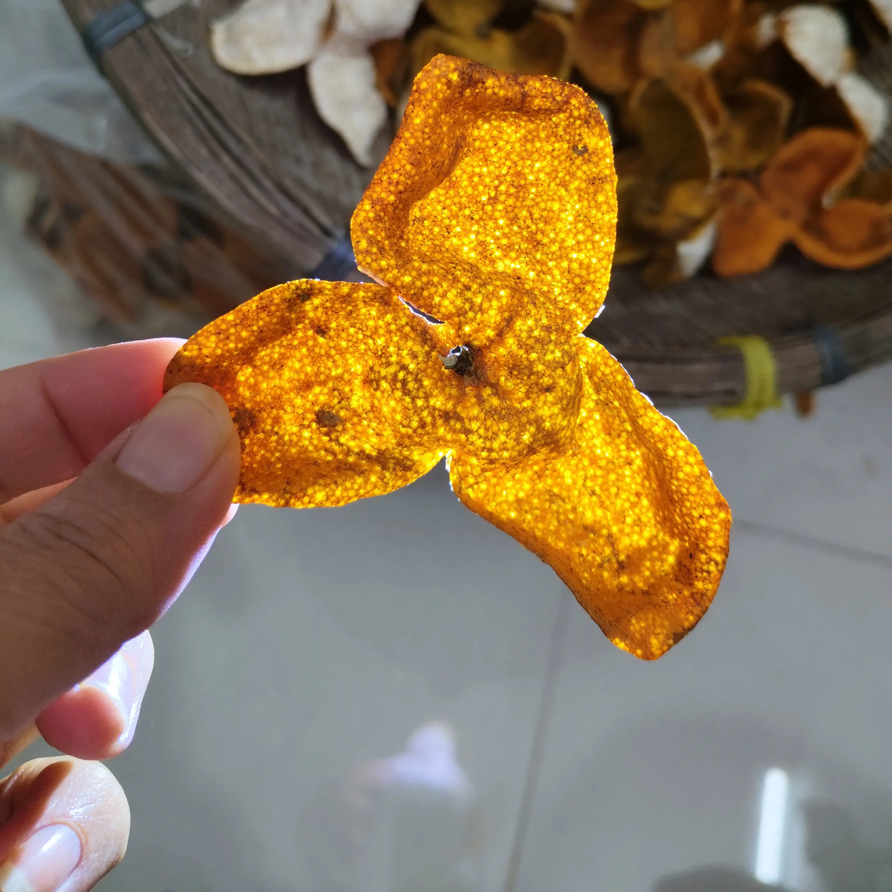 正宗广西浦北县老树（35年）二红皮纯手工皮 天然生晒（小皮）