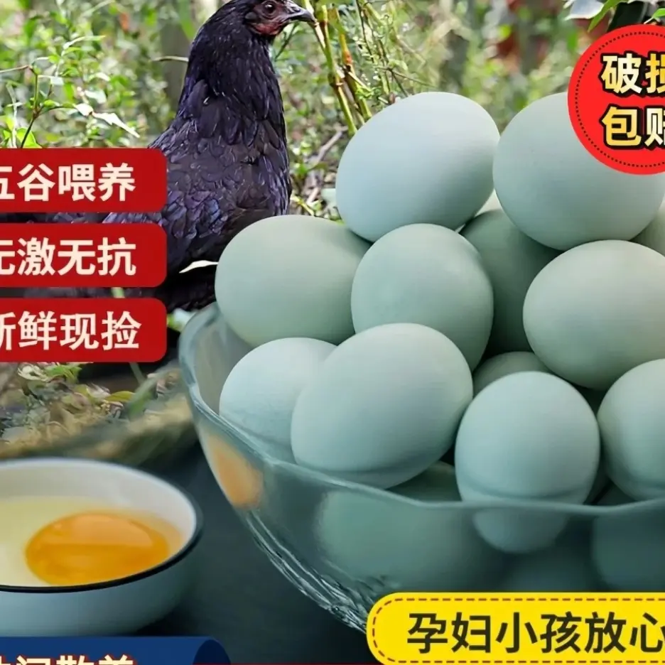山林散养新鲜绿壳土鸡蛋营养美味农家月子蛋