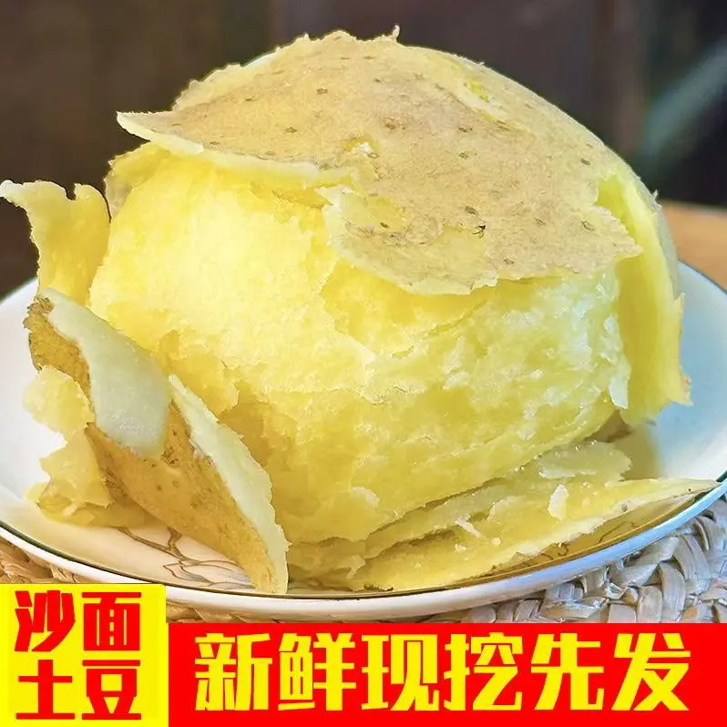 甘肃定西新鲜现挖沙地黄心粉面沙软土豆