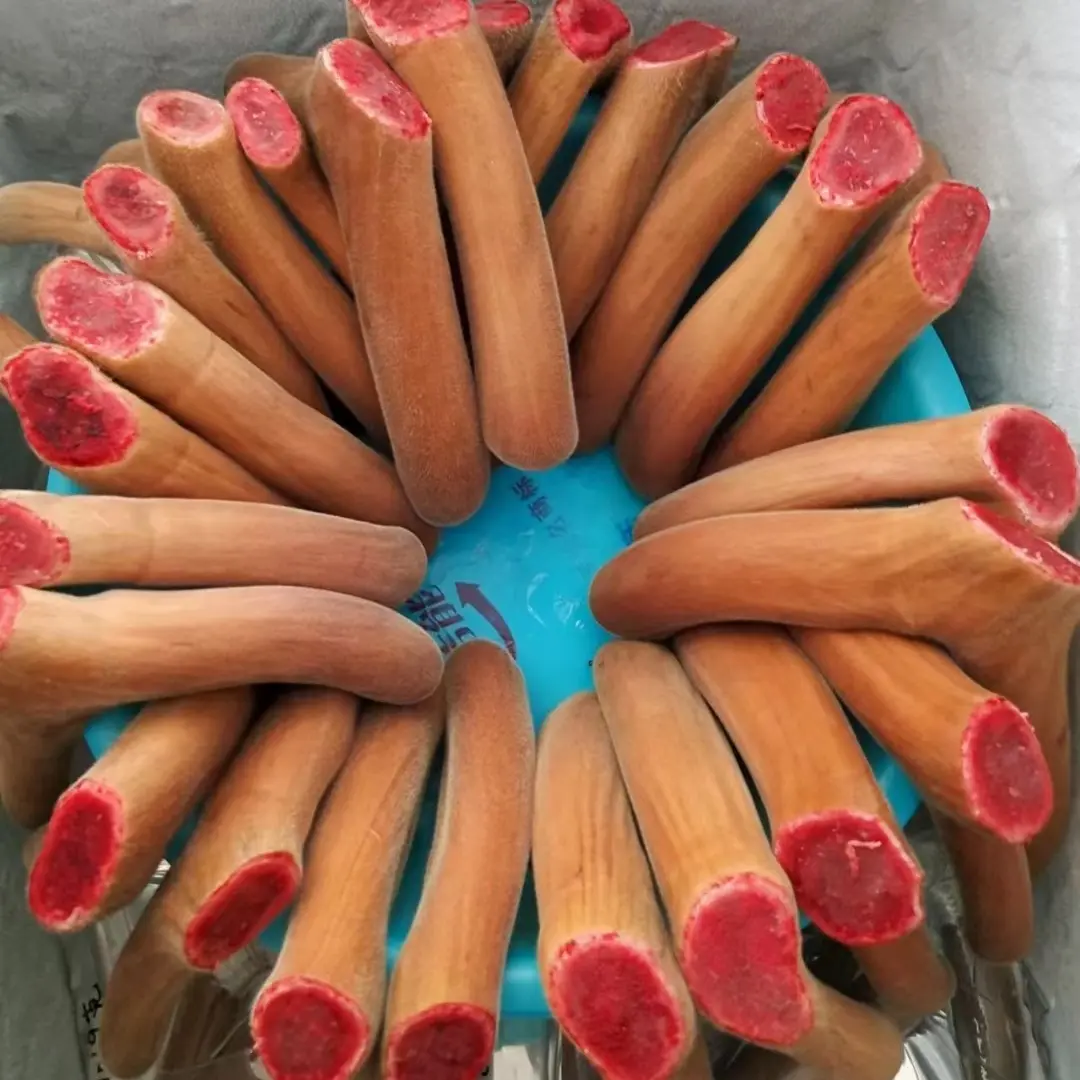 鹿乡产地鲜鹿茸可泡酒煲汤滋补养生吉林原产地发货