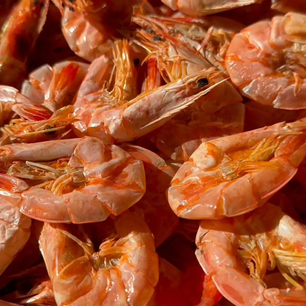 渤海湾特产烤虾干海水盐田虾活虾现烤开袋即食海鲜干货