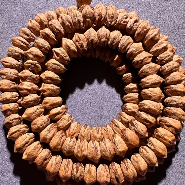 热振百香籽红芽斜切高密高油脖挂长串