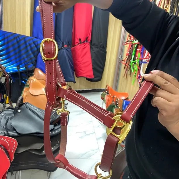 结实耐用纯牛皮马笼头金属配件加厚骑马装备调教龙头