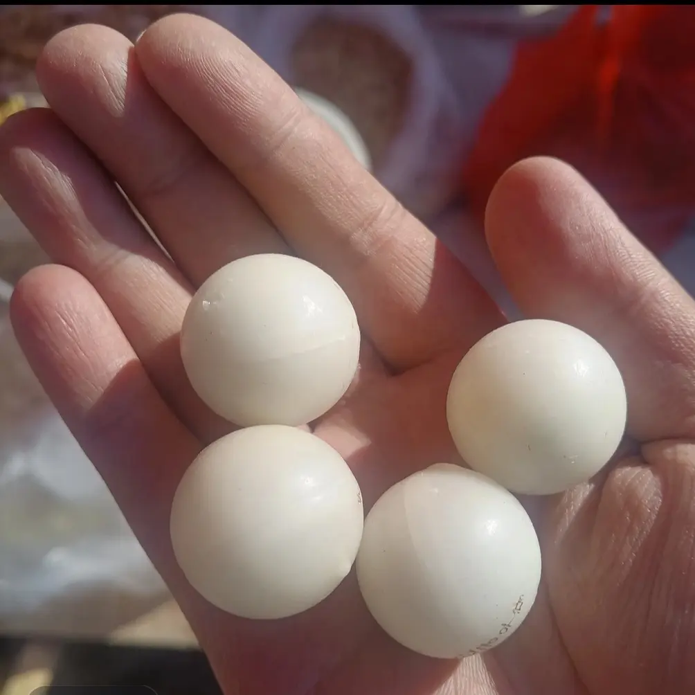 [云南土特产]正宗安~工~小丸子滋补品