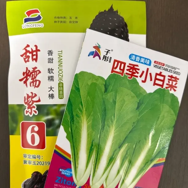 小菜园种植小白菜送甜糯紫很好吃