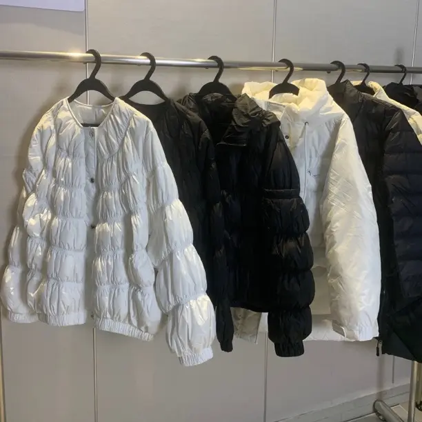 深圳南油新款高品质羽绒服 版型正 显气质款