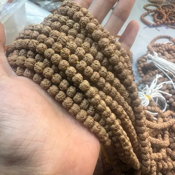 原桩五爪金龙佛手小金刚菩提精品手串108颗手持文玩矮桩三日红