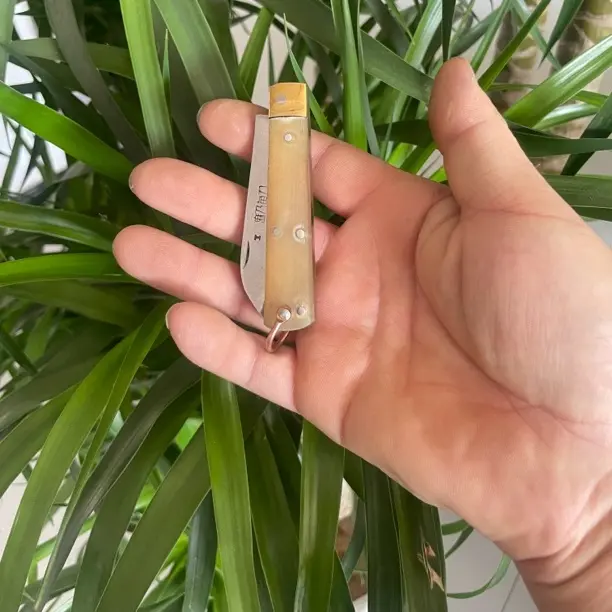 纯手工牛角折叠小刀水果刀牛排刀厨房用精美花纹手把肉刀