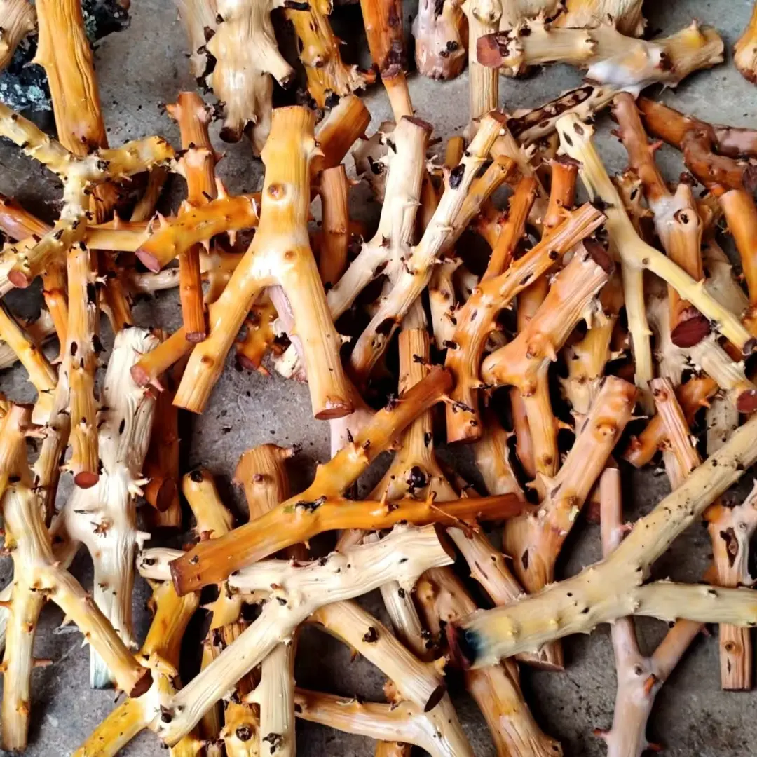 野生云南南对节木把玩木棍实木文玩手把件车载短棍弹弓叉