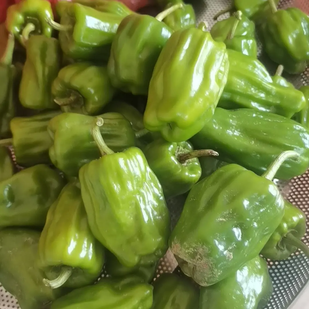 宁远本地自种新鲜薄皮辣椒香辣口感