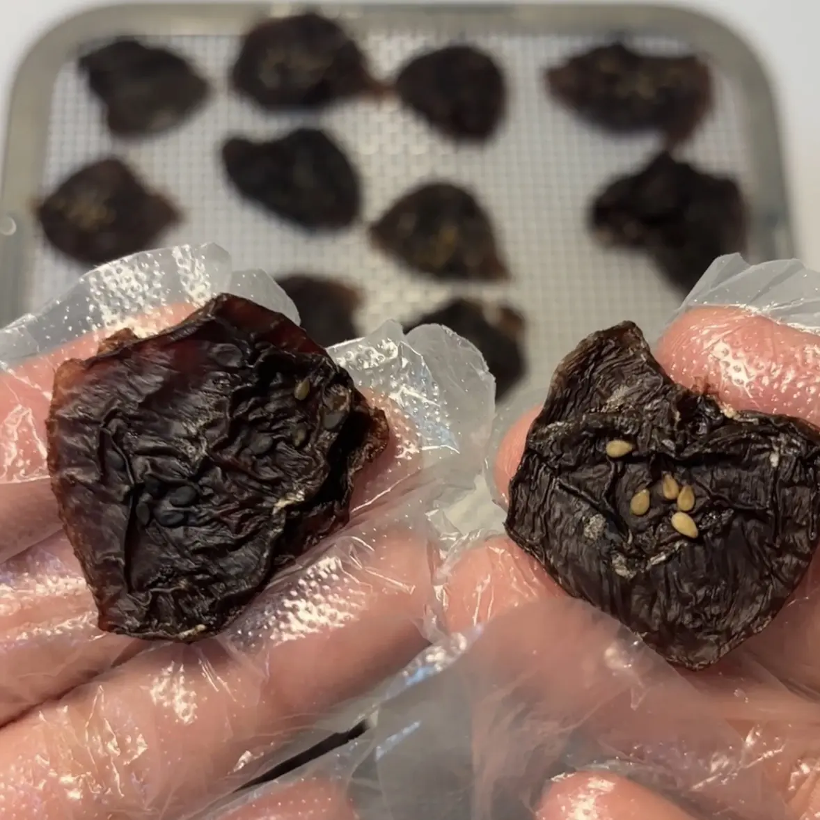 宠物烘干鸡心去油脂狗狗零食奖励零食0添加0防腐
