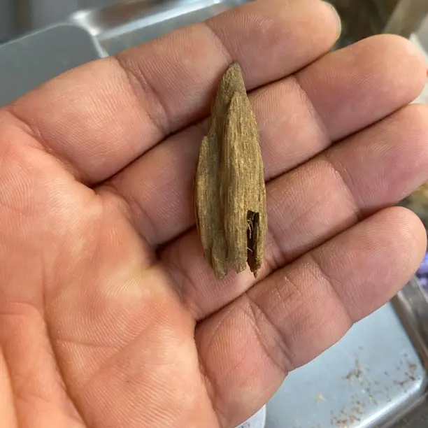 沉香正区富森红土99沉