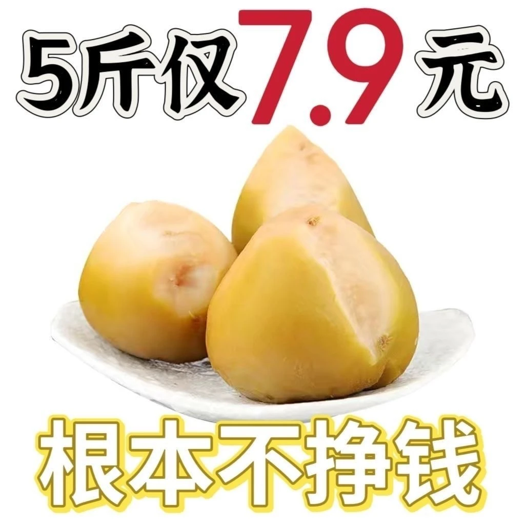 5斤装芥菜疙瘩头大缸咸菜疙瘩丝老式原味咸菜疙瘩新鲜腌制