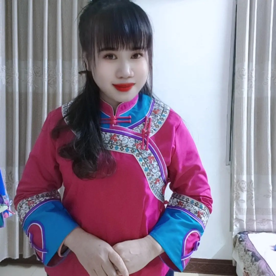 少数民族风壮族布依族传统立领盘扣上衣