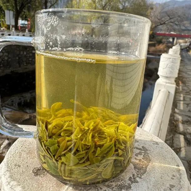 白龙潭水口（521高山飞机头）