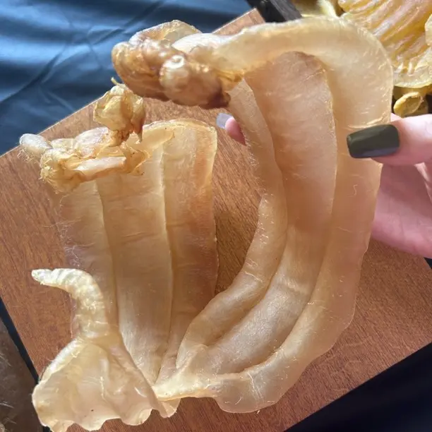 【无券改价】土鳘公鱼胶清水厚肉天然深海花胶孕妇