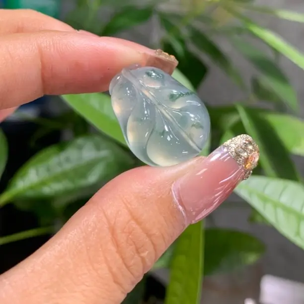 高冰飘绿花大肥叶24/19.2/5