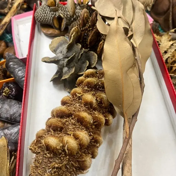 专拍，一物一拍…….