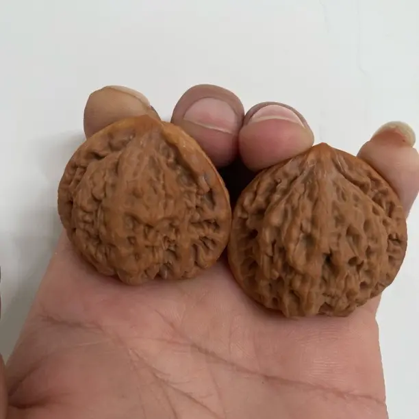 金公子文玩核桃手把件全品手盘无修精品收藏级把玩