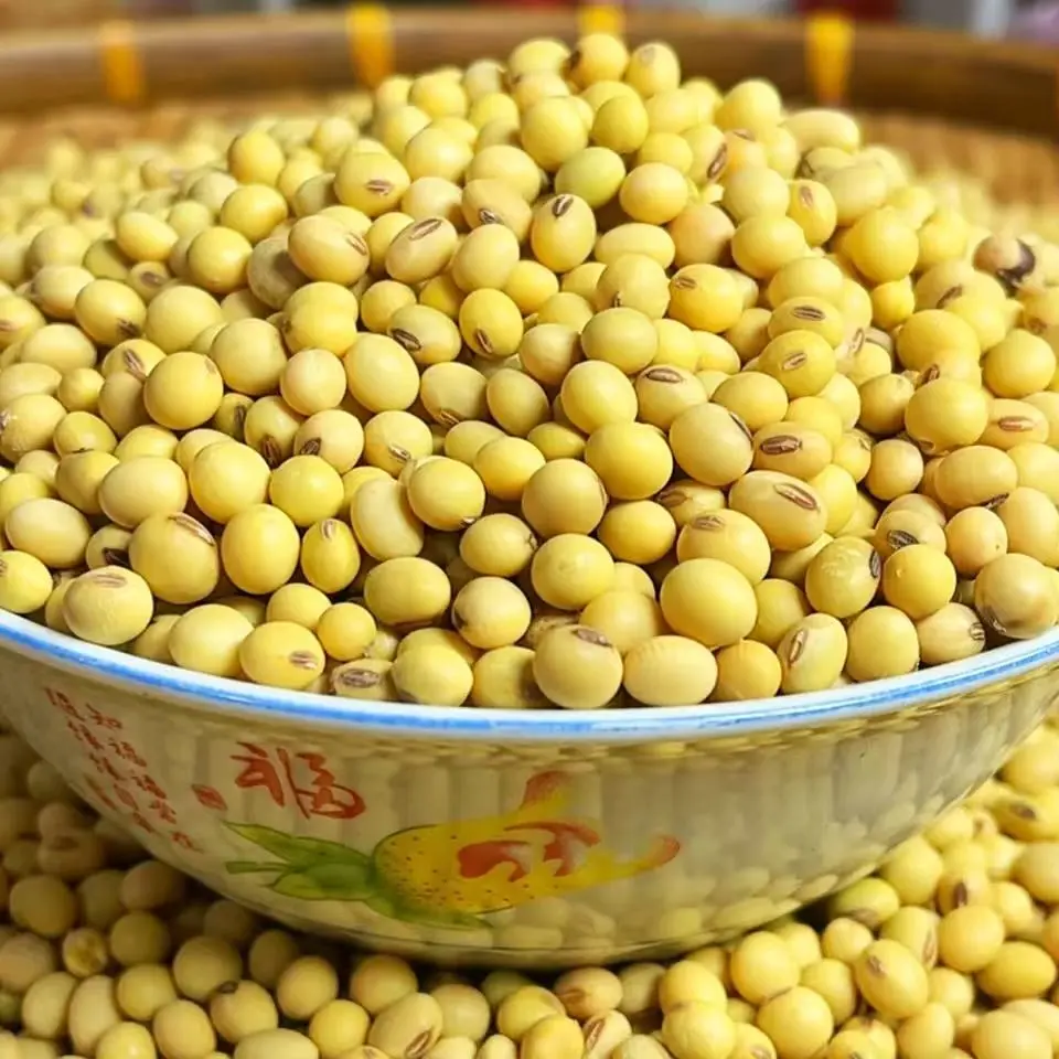 （农副品）广元农村黄豆 本地豆子农民自种老品种磨豆浆做豆腐专用