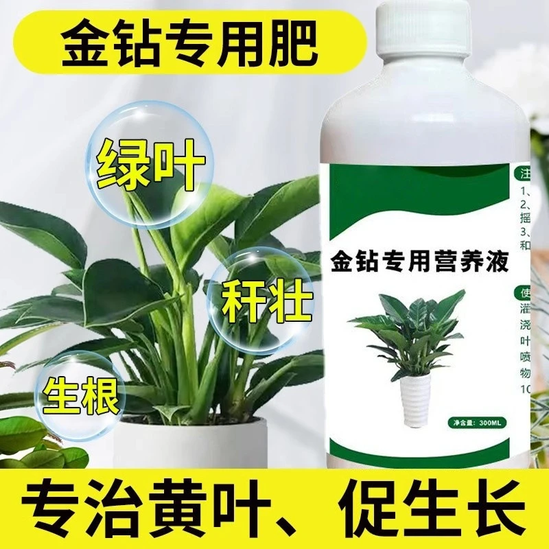 金钻专用营养液肥黄叶卷边绿植通用型免稀释植物花肥料园艺花卉